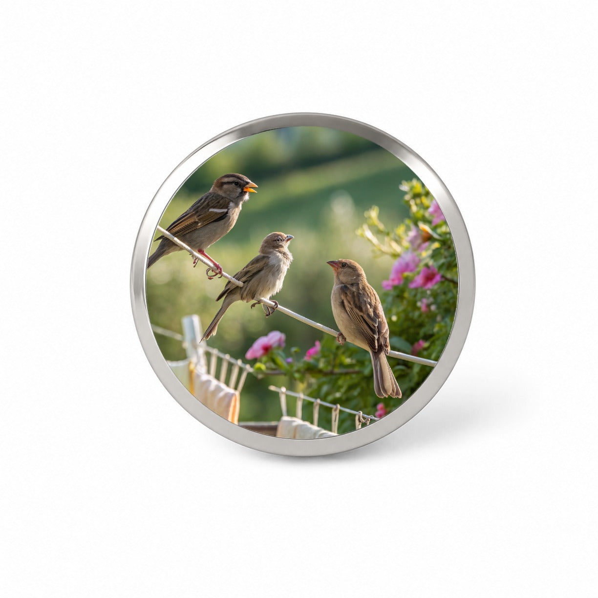 Birds On A Clothesline Novelty Hat Backpack Lapel Pin