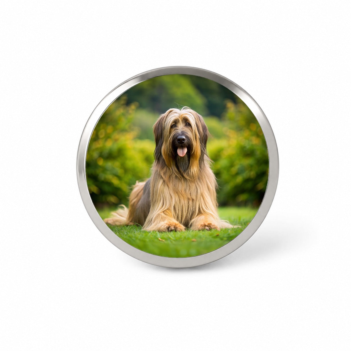 Briard Dog Photo Novelty Hat Backpack Lapel Pin
