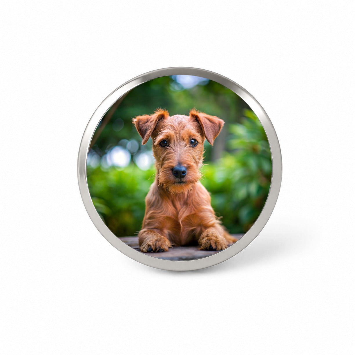 Irish Terrier Dog Puppy Photo Novelty Hat Backpack Lapel Pin