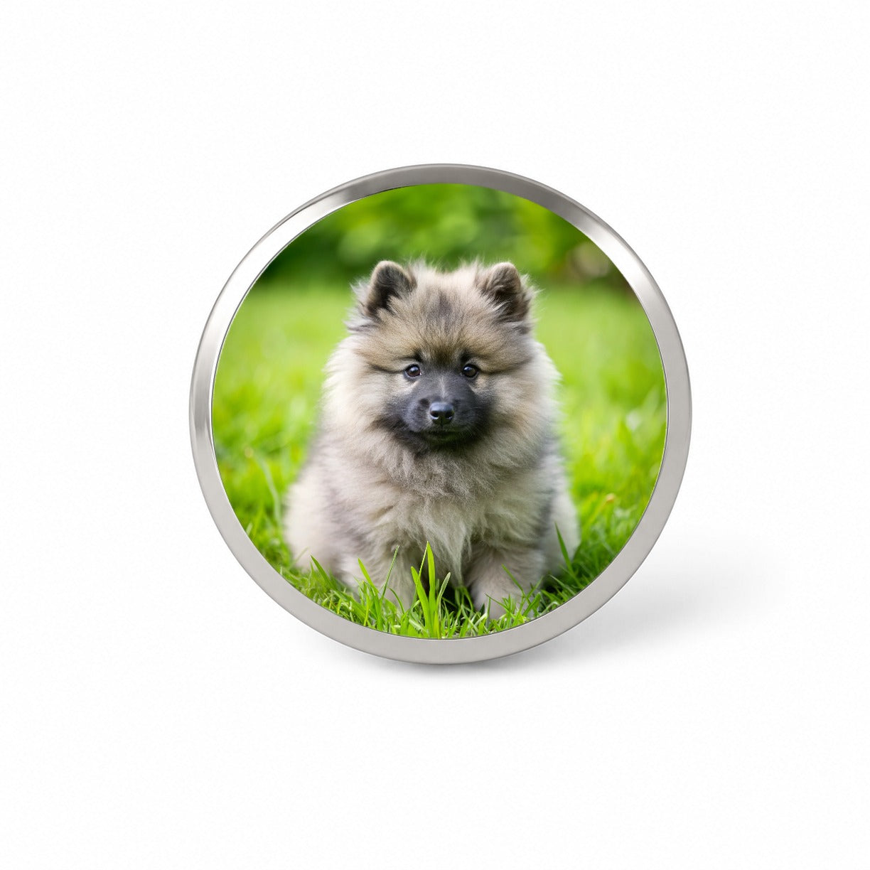 Keeshond Dog Puppy Photo Novelty Hat Backpack Lapel Pin