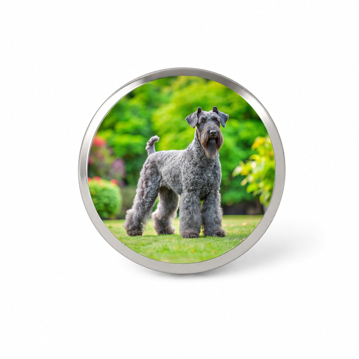 Kerry Blue Terrier Dog Photo Novelty Hat Backpack Lapel Pin