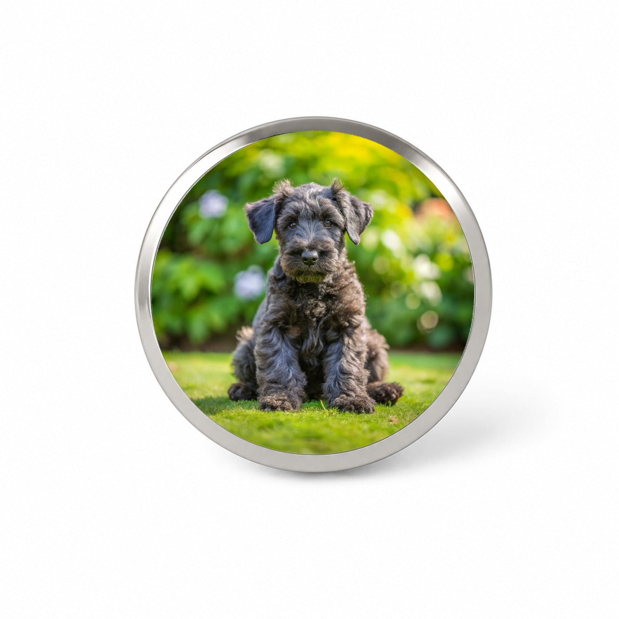 Kerry Blue Terrier Dog Puppy Photo Novelty Hat Backpack Lapel Pin