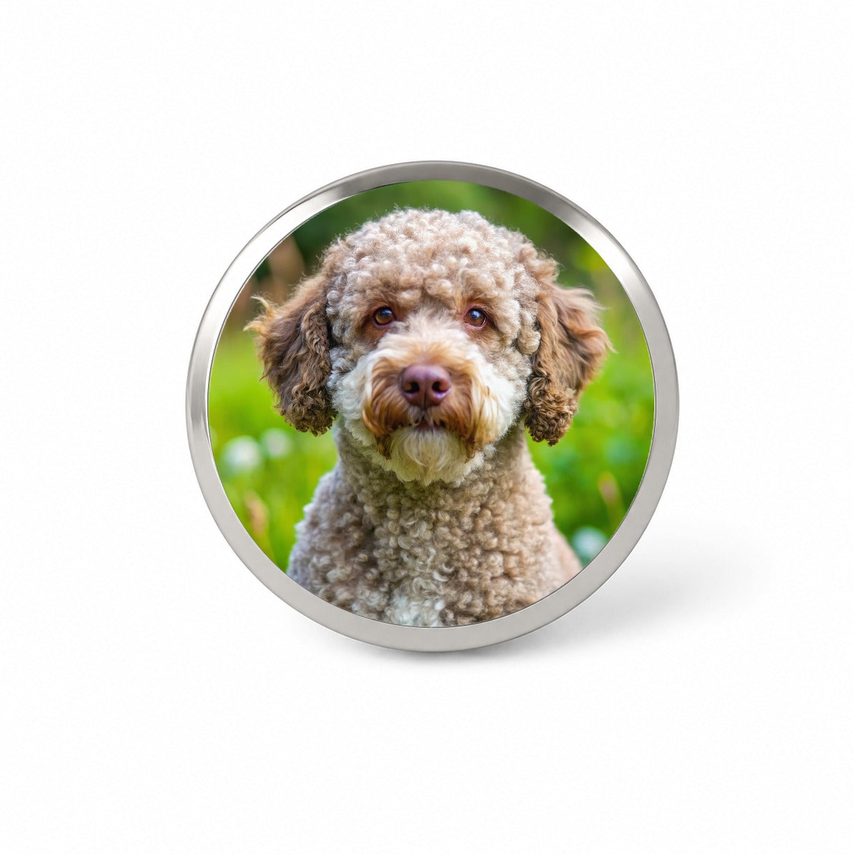 Lagotto Romagnolo Dog Photo Novelty Hat Backpack Lapel Pin