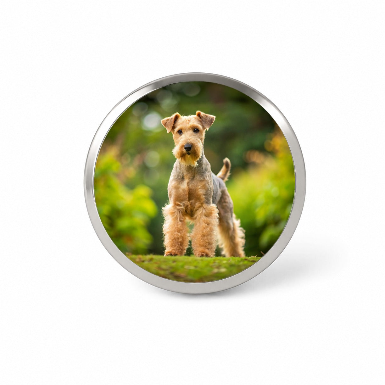 Lakeland Terrier Dog Photo Novelty Hat Backpack Lapel Pin