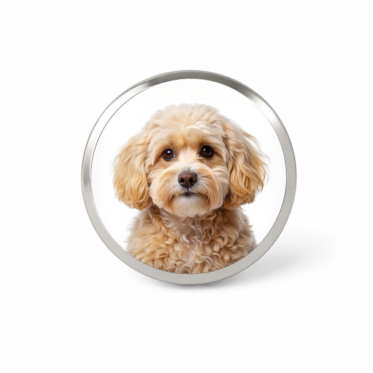 Maltipoo Dog Photo Novelty Hat Backpack Lapel Pin