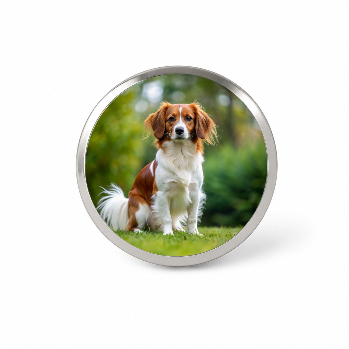 Nederlandse Kooikerhondje Dog Photo Novelty Hat Backpack Lapel Pin