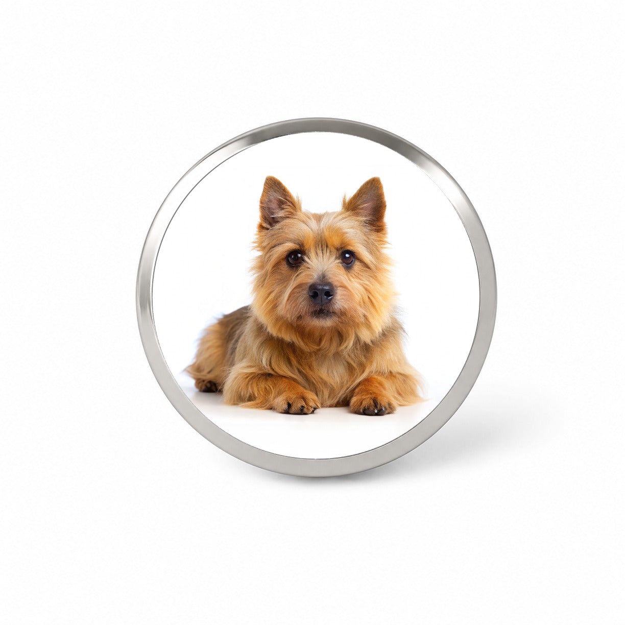 Norwich Terrier Dog Photo Novelty Hat Backpack Lapel Pin