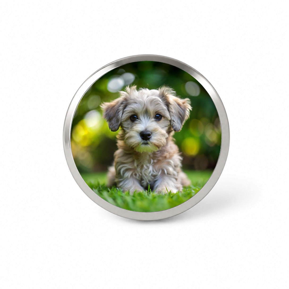 Schnoodle Dog Puppy Photo Novelty Hat Backpack Lapel Pin
