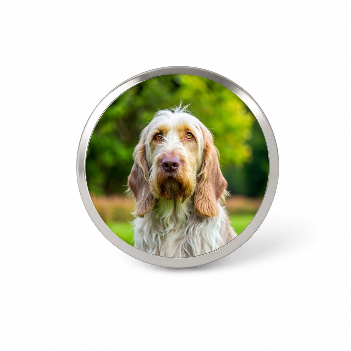 Spinone Italiano Dog Photo Novelty Hat Backpack Lapel Pin
