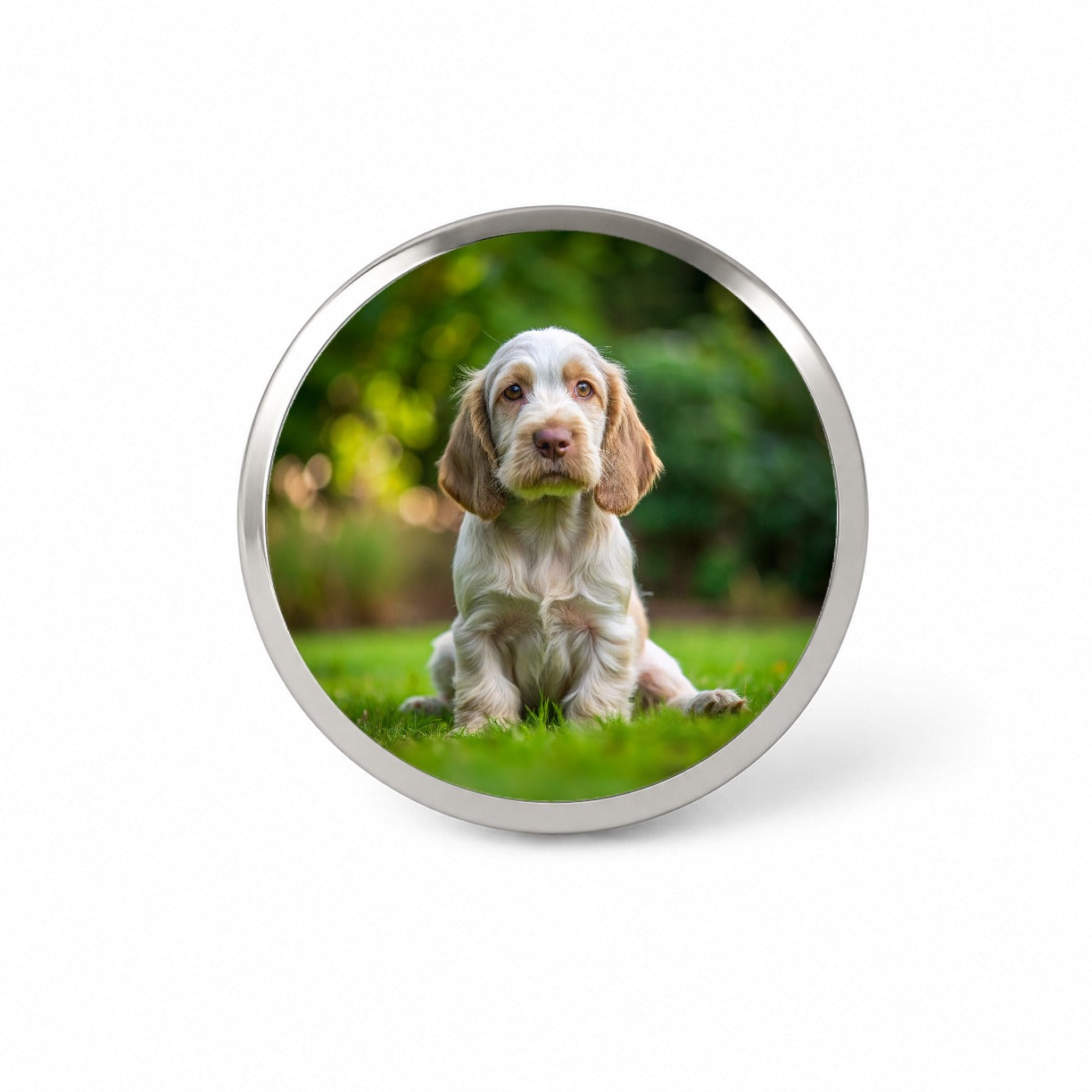 Spinone Italiano Dog Puppy Photo Novelty Hat Backpack Lapel Pin