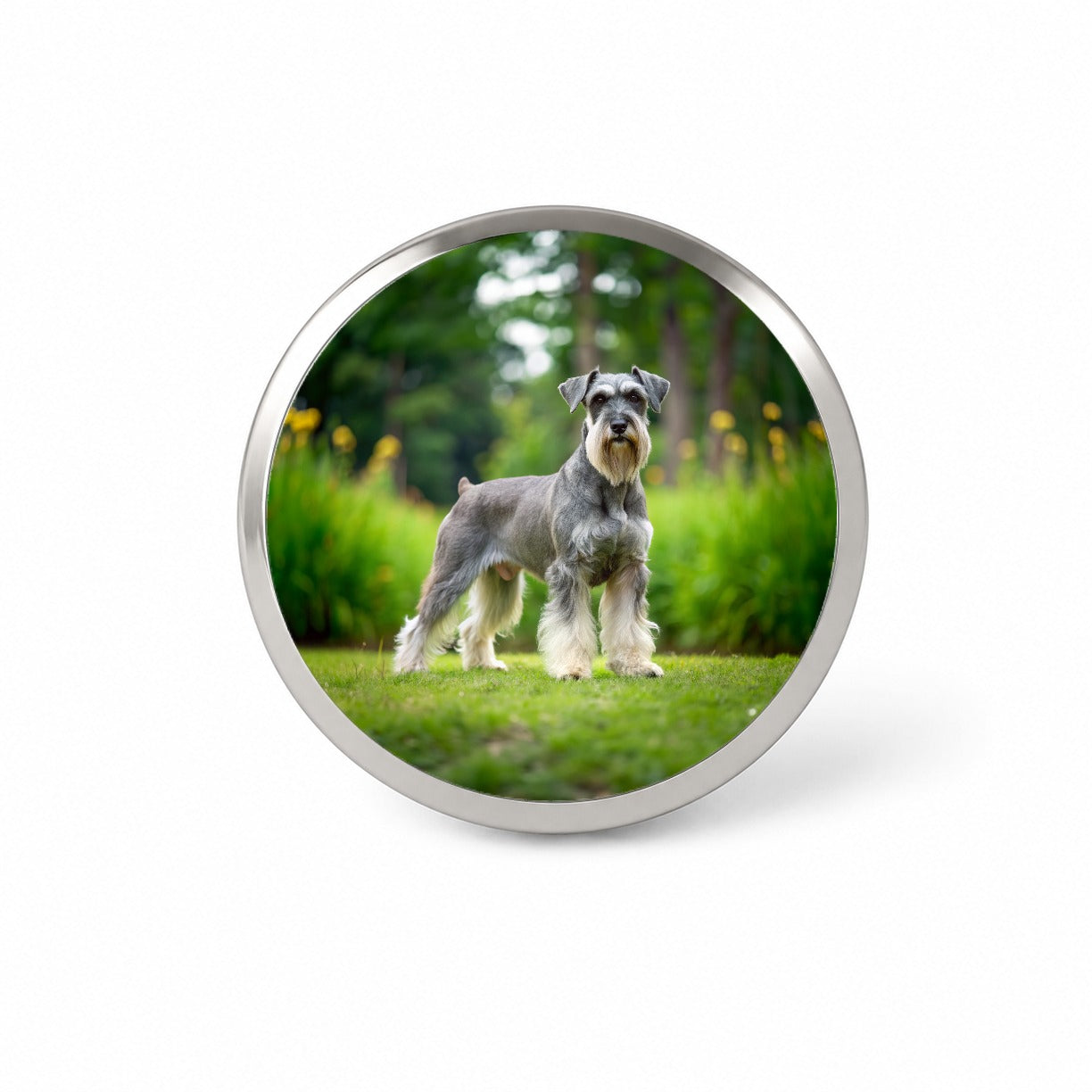Standard Schnauzer Dog Photo Novelty Hat Backpack Lapel Pin