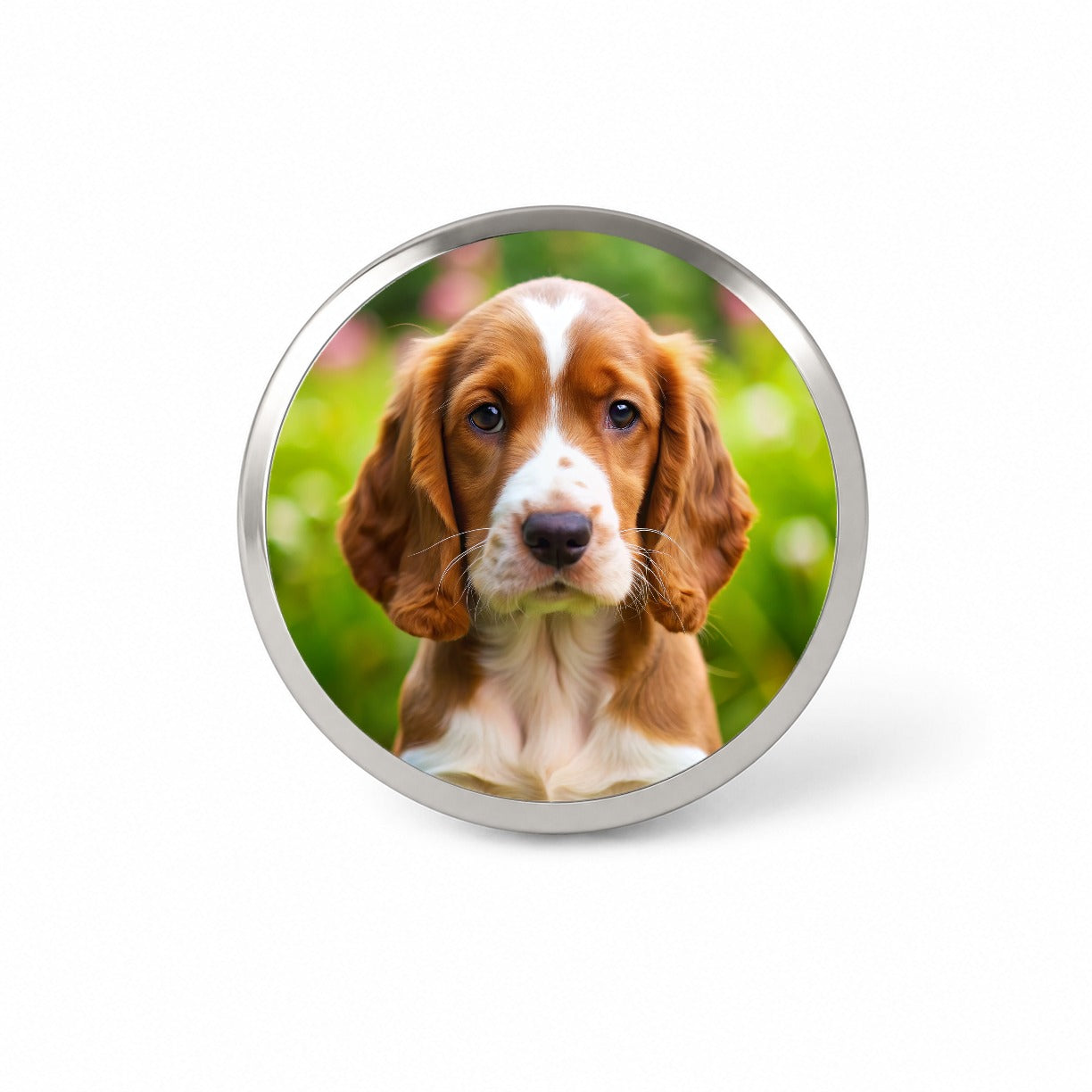 Welsh Springer Spaniel Dog Puppy Photo Novelty Hat Backpack Lapel Pin