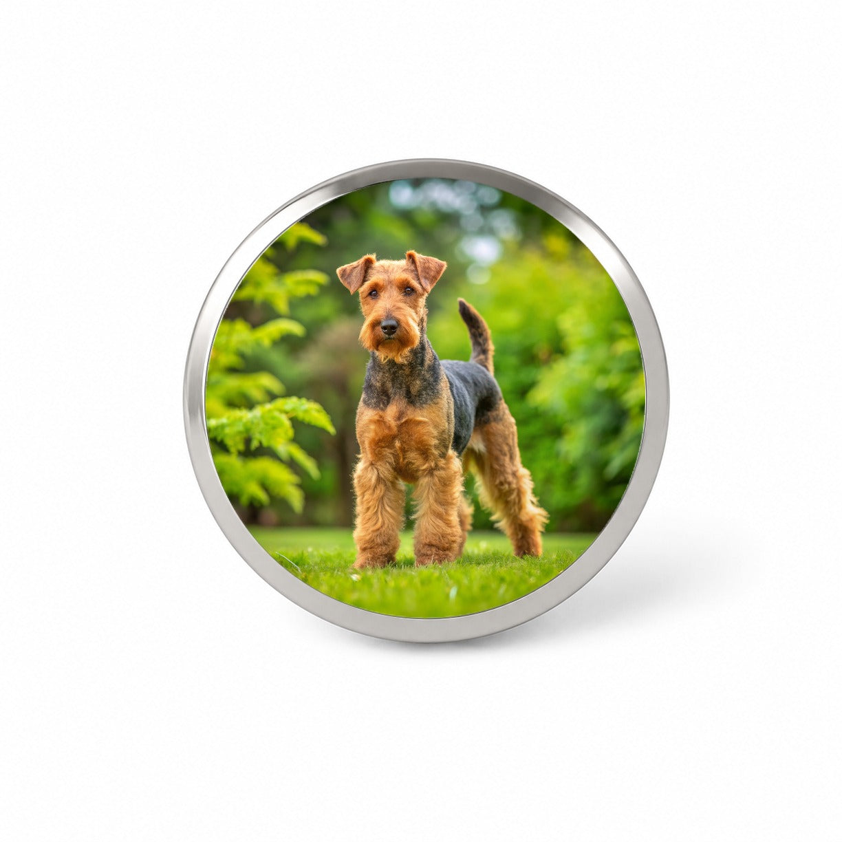 Welsh Terrier Dog Photo Novelty Hat Backpack Lapel Pin