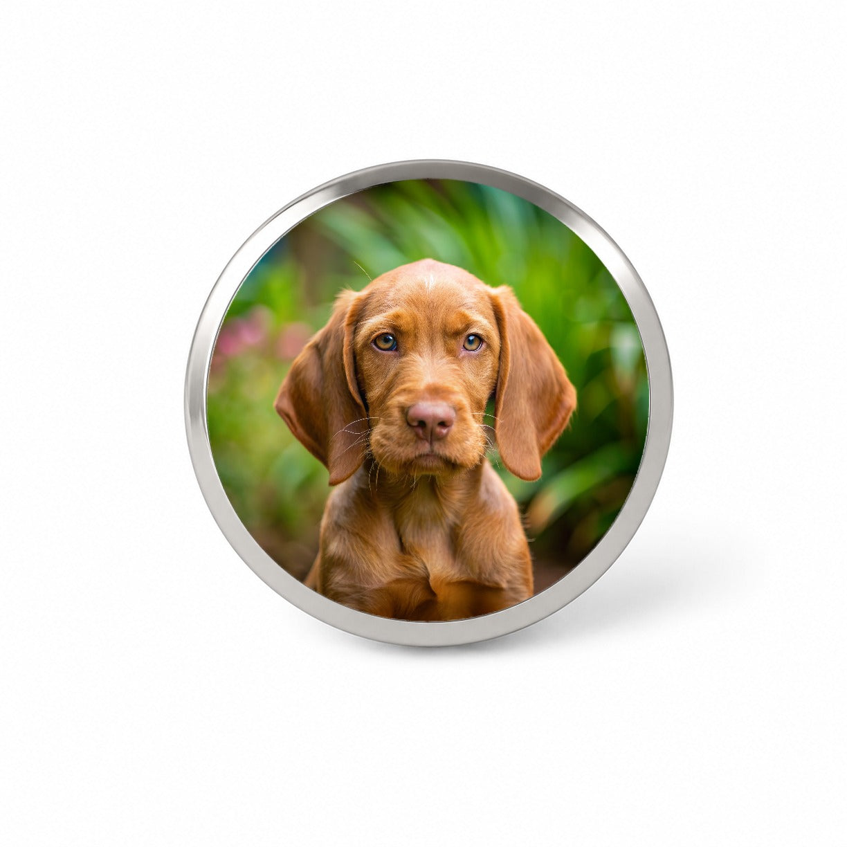 Wirehaired Vizsla Dog Puppy Photo Novelty Hat Backpack Lapel Pin