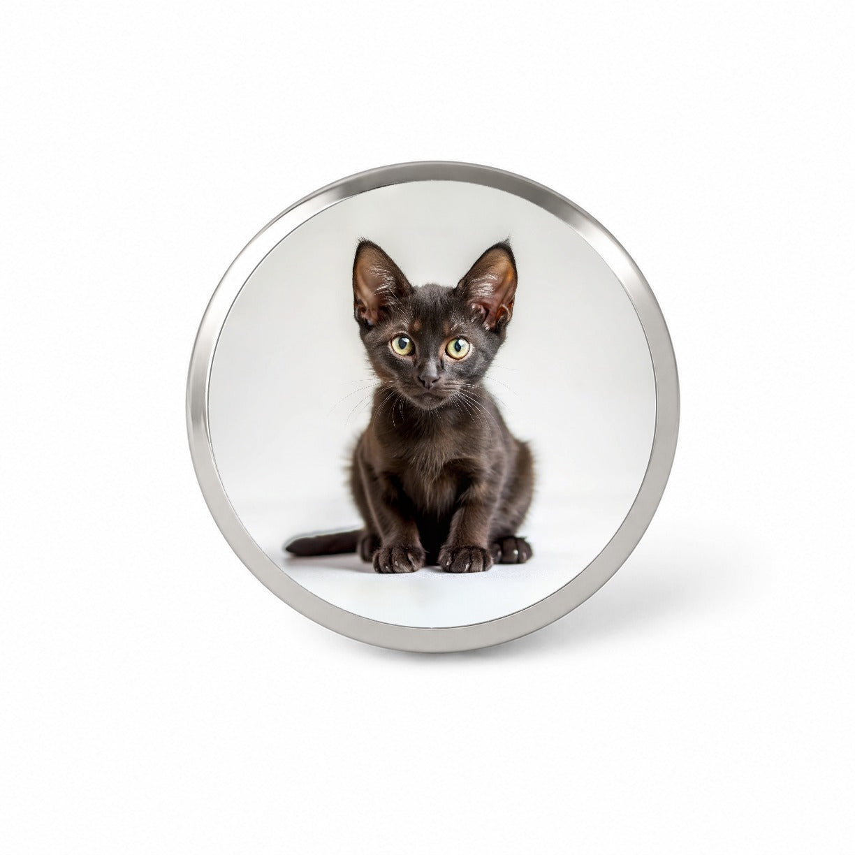 Bombay Black Cat Kitten Photo Novelty Hat Backpack Lapel Pin