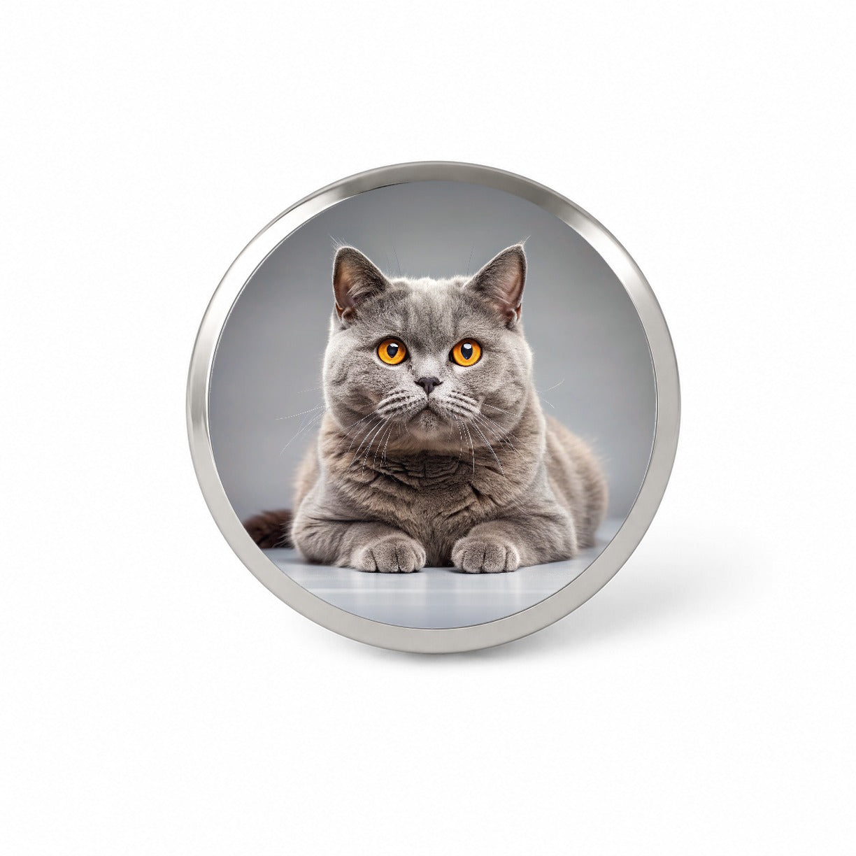 British Shorthair Gray Cat Photo Novelty Hat Backpack Lapel Pin