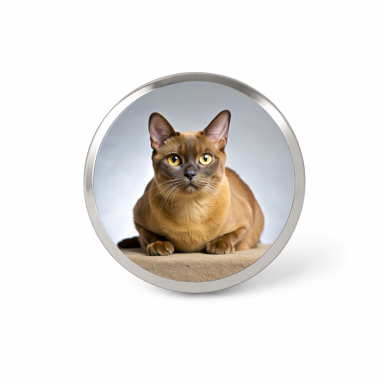 Burmese Cat Photo Novelty Hat Backpack Lapel Pin