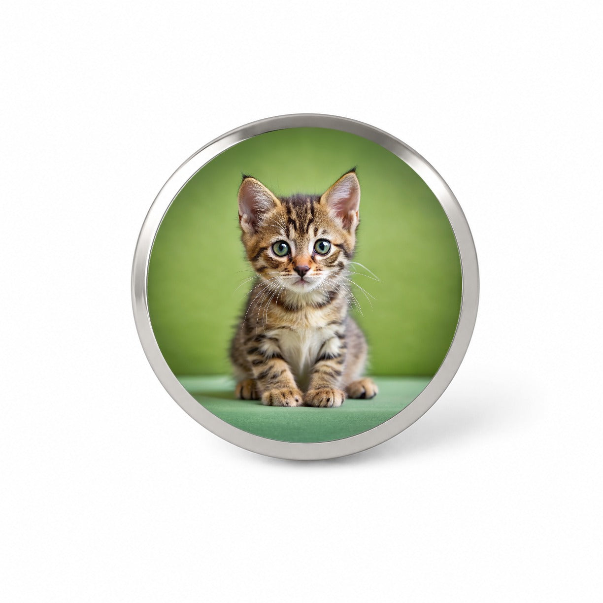 European Shorthair Cat Kitten Photo Novelty Hat Backpack Lapel Pin