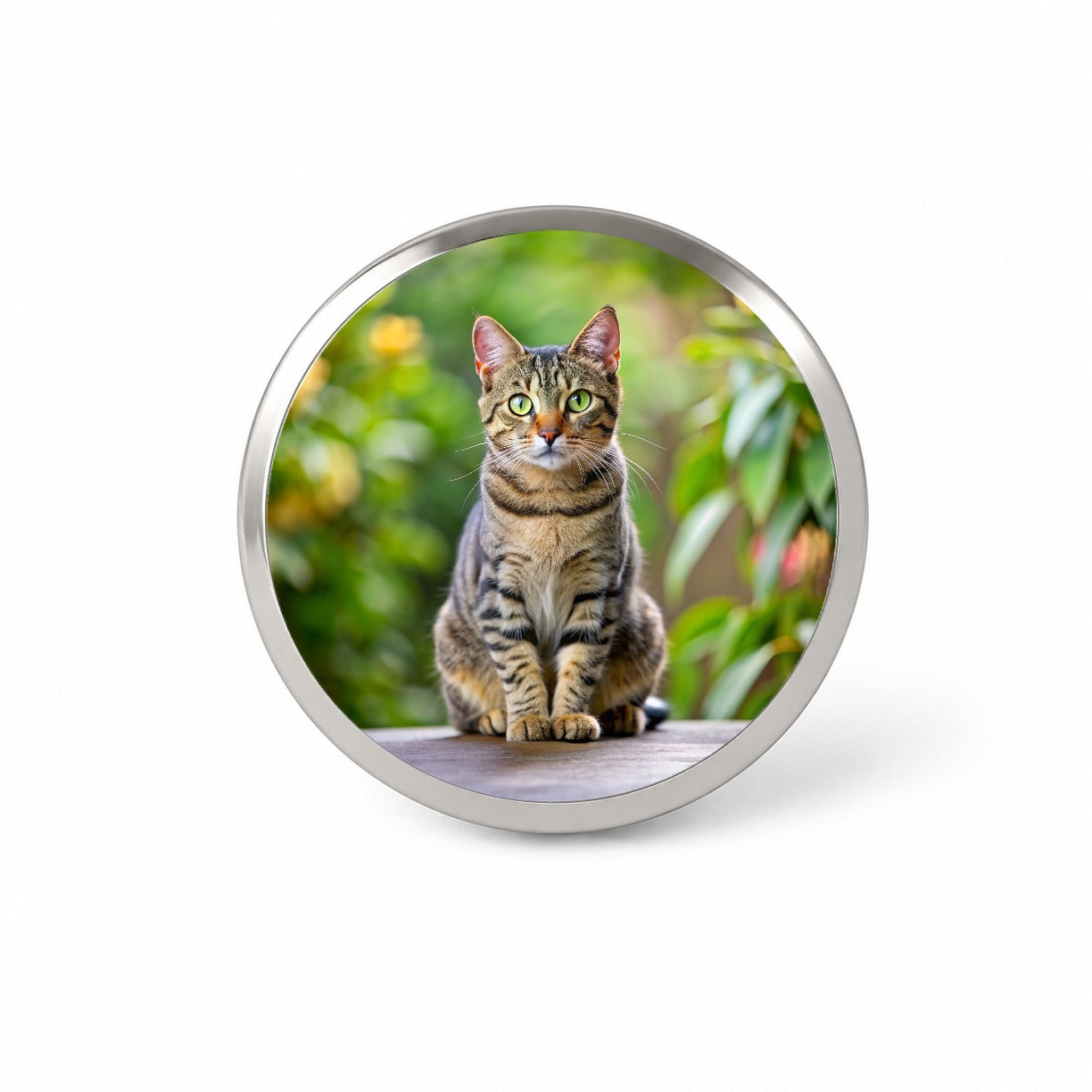 European Shorthair Cat Photo Novelty Hat Backpack Lapel Pin