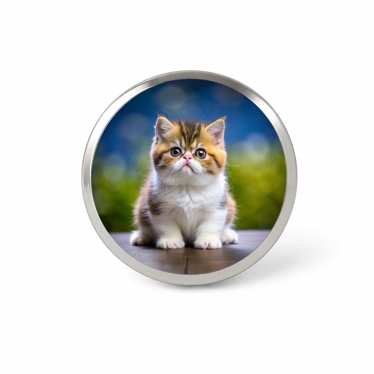 Exotic Shorthair Cat Kitten Photo Novelty Hat Backpack Lapel Pin
