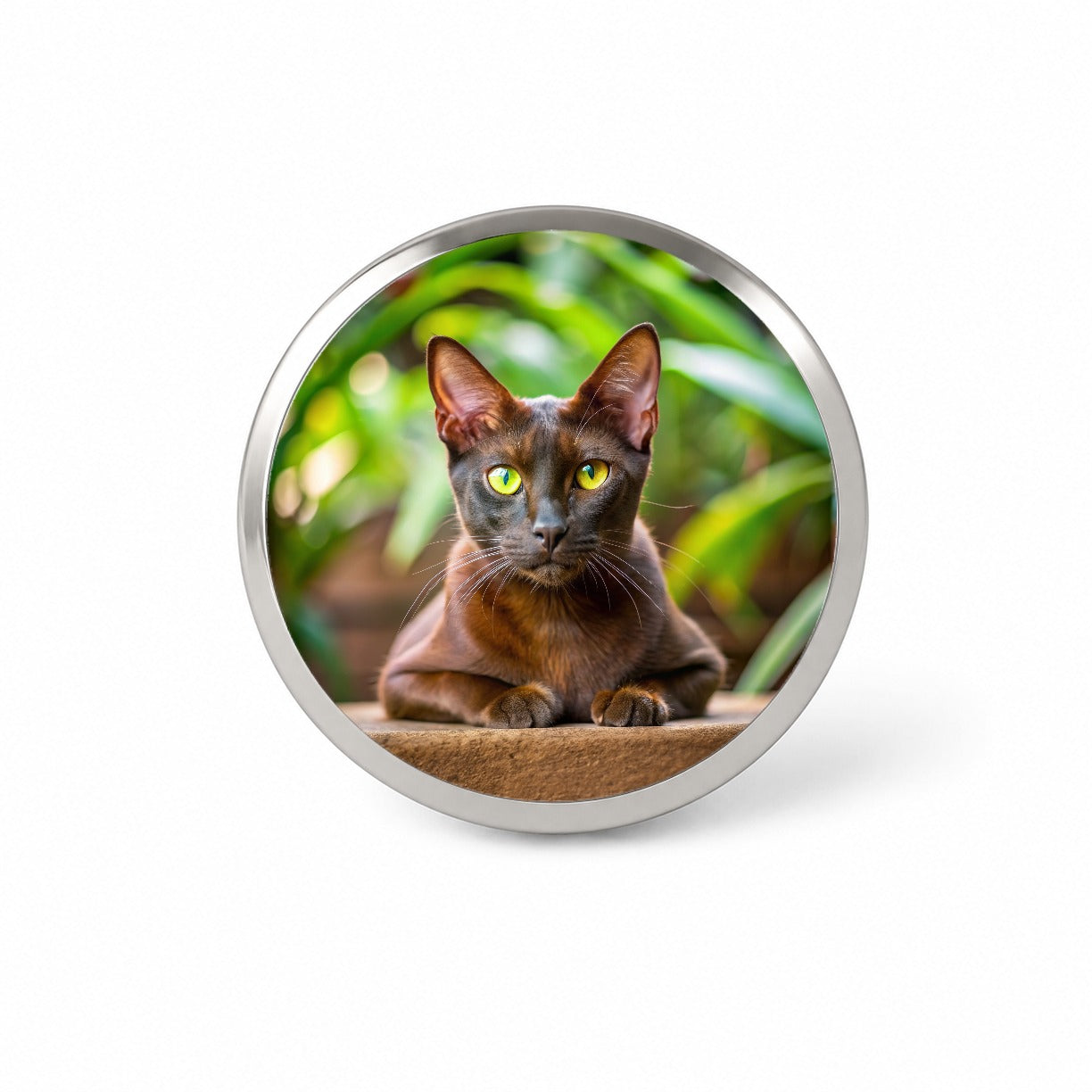 Havana Brown Cat Photo Novelty Hat Backpack Lapel Pin