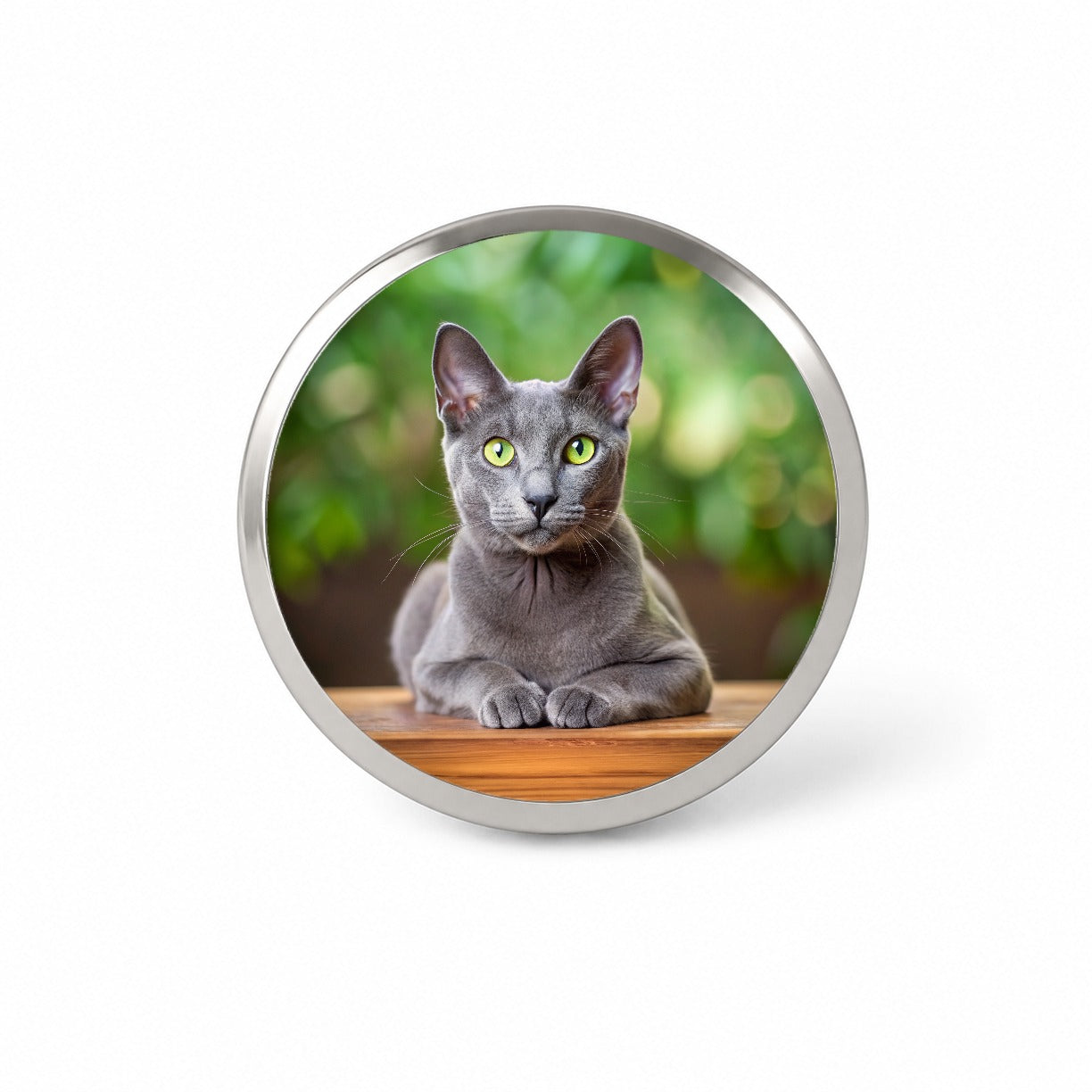 Korat Cat Photo Novelty Hat Backpack Lapel Pin