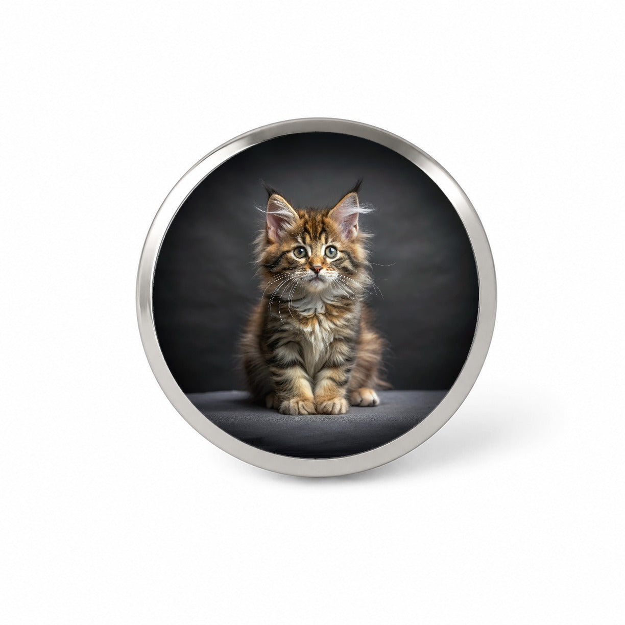 Maine Coon Cat Kitten Photo Novelty Hat Backpack Lapel Pin