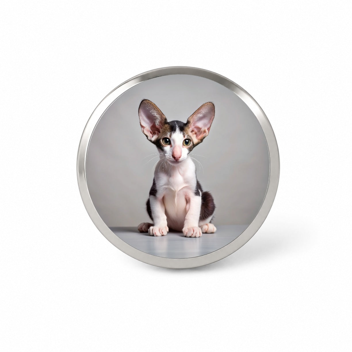 Oriental Shorthair Black White Cat Kitten Photo Novelty Hat Backpack Lapel Pin
