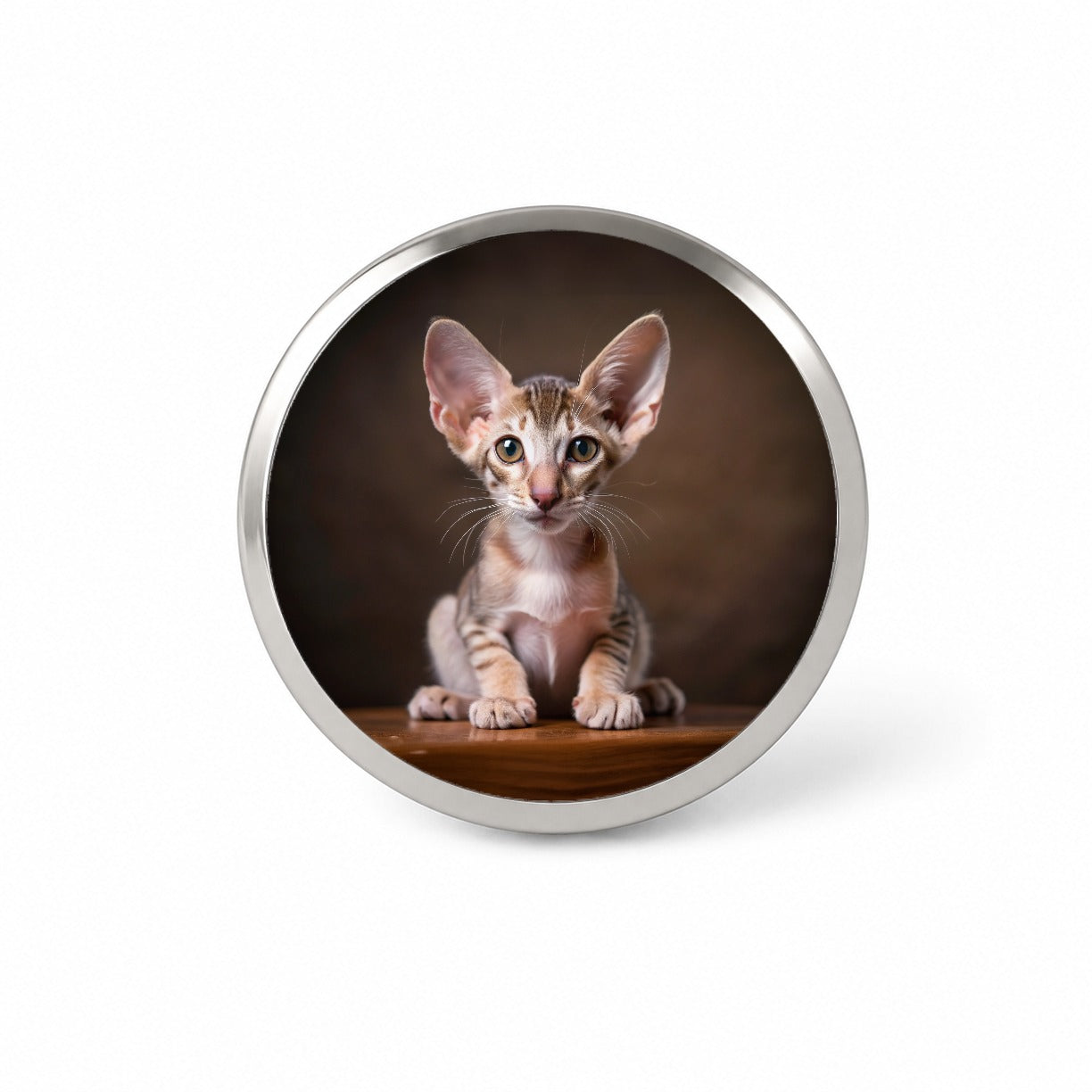 Oriental Shorthair Cat Kitten Photo Novelty Hat Backpack Lapel Pin