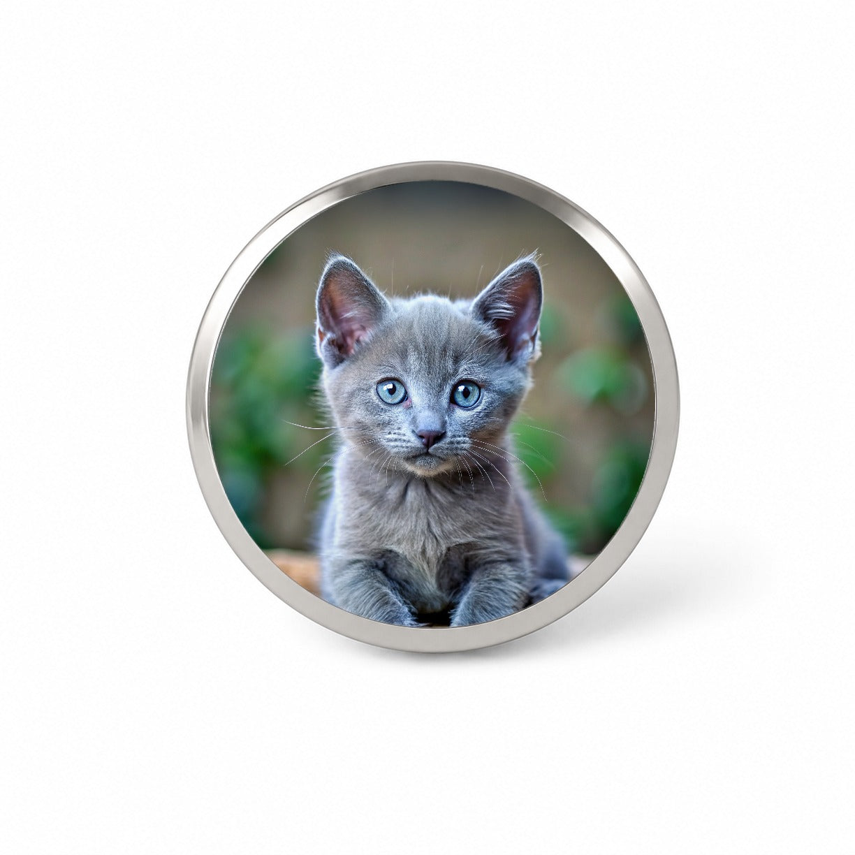 Russian Blue Cat Kitten Photo Novelty Hat Backpack Lapel Pin