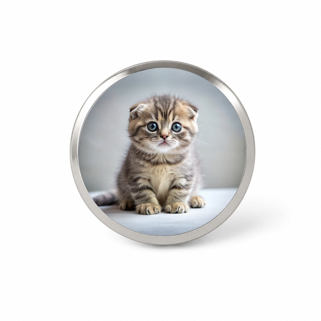 Scottish Fold Cat Kitten Photo Novelty Hat Backpack Lapel Pin