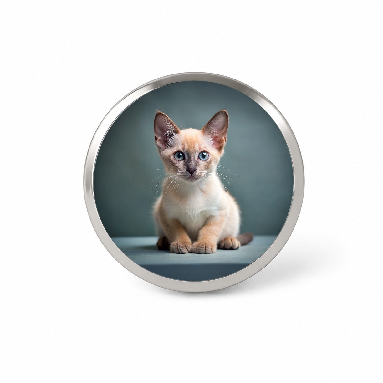 Tonkinese Cat Kitten Photo Novelty Hat Backpack Lapel Pin