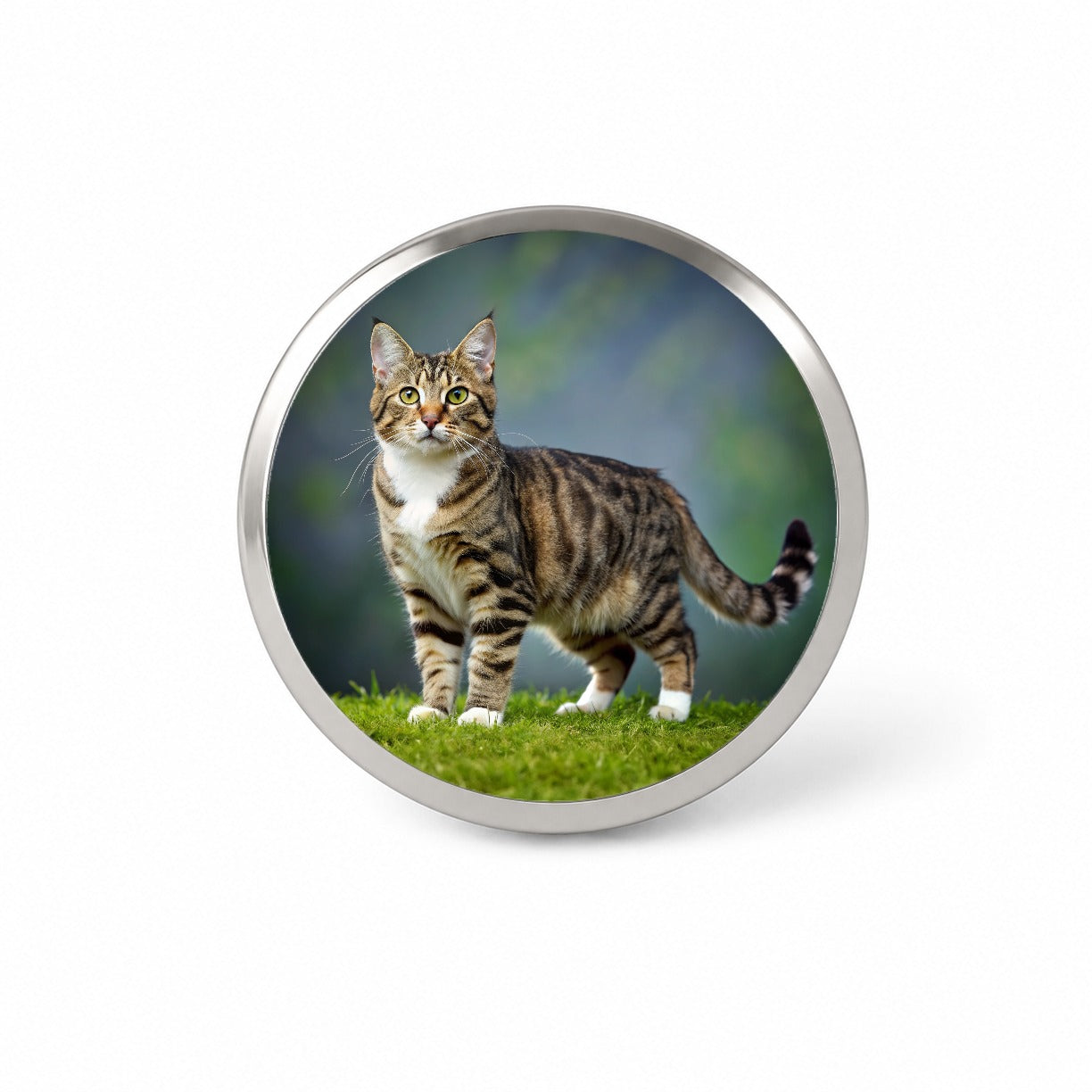 Cute Tabby Cat Photo Novelty Hat Backpack Lapel Pin