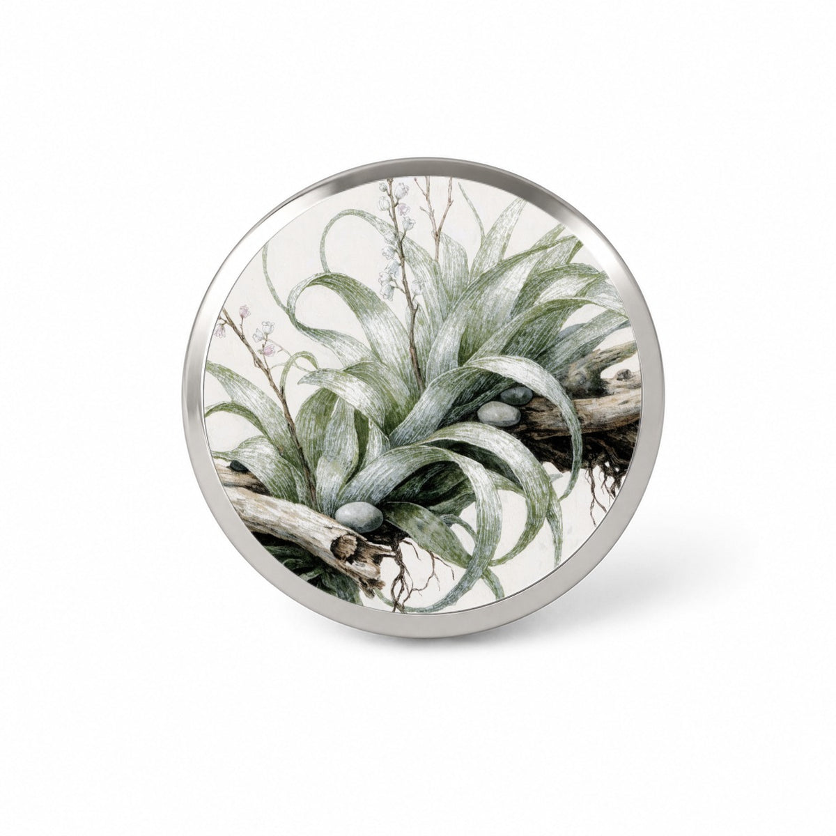 Air Plant Botanical Collection Novelty Hat Backpack Lapel Pin