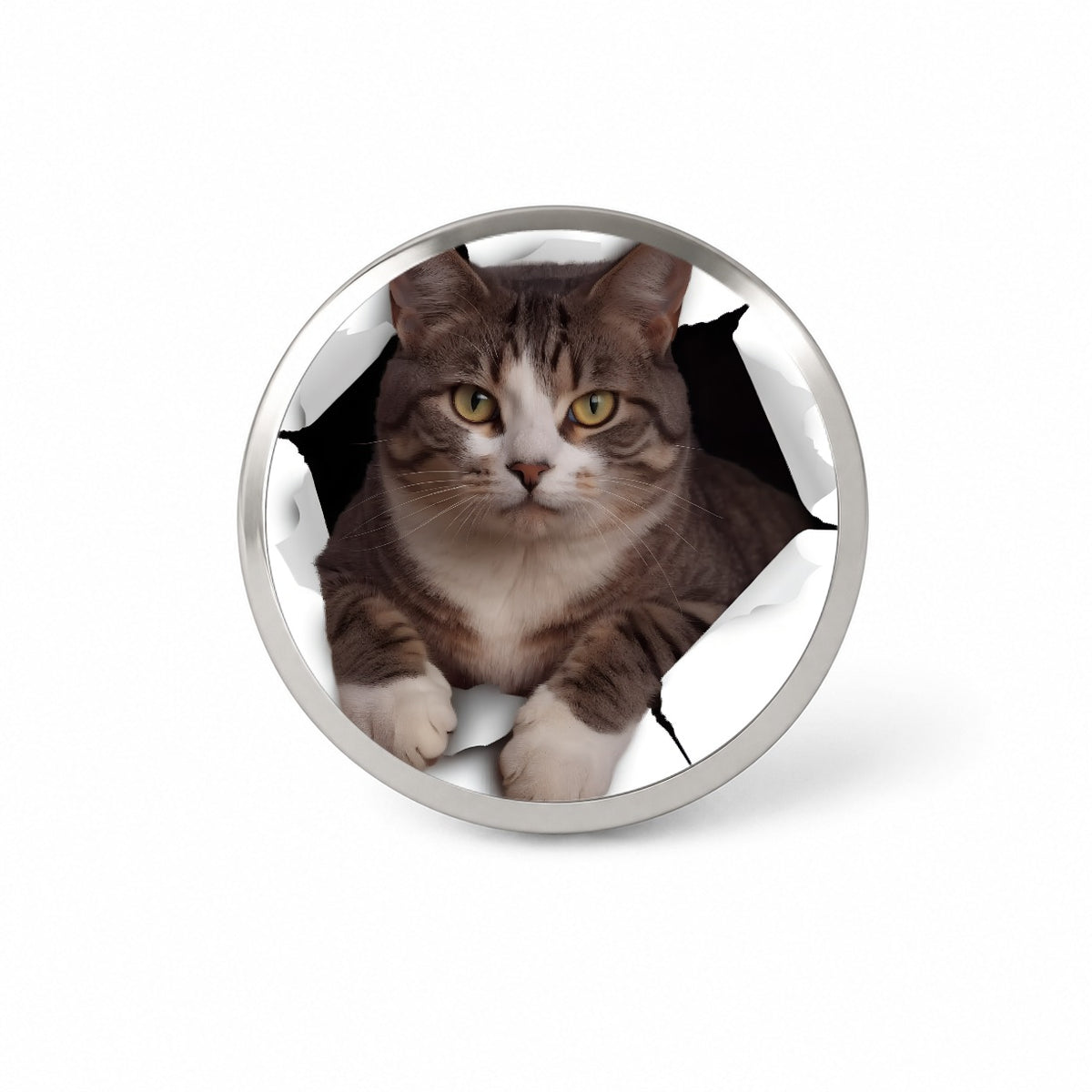 American Shorthaired Cat Breakout Novelty Hat Backpack Lapel Pin