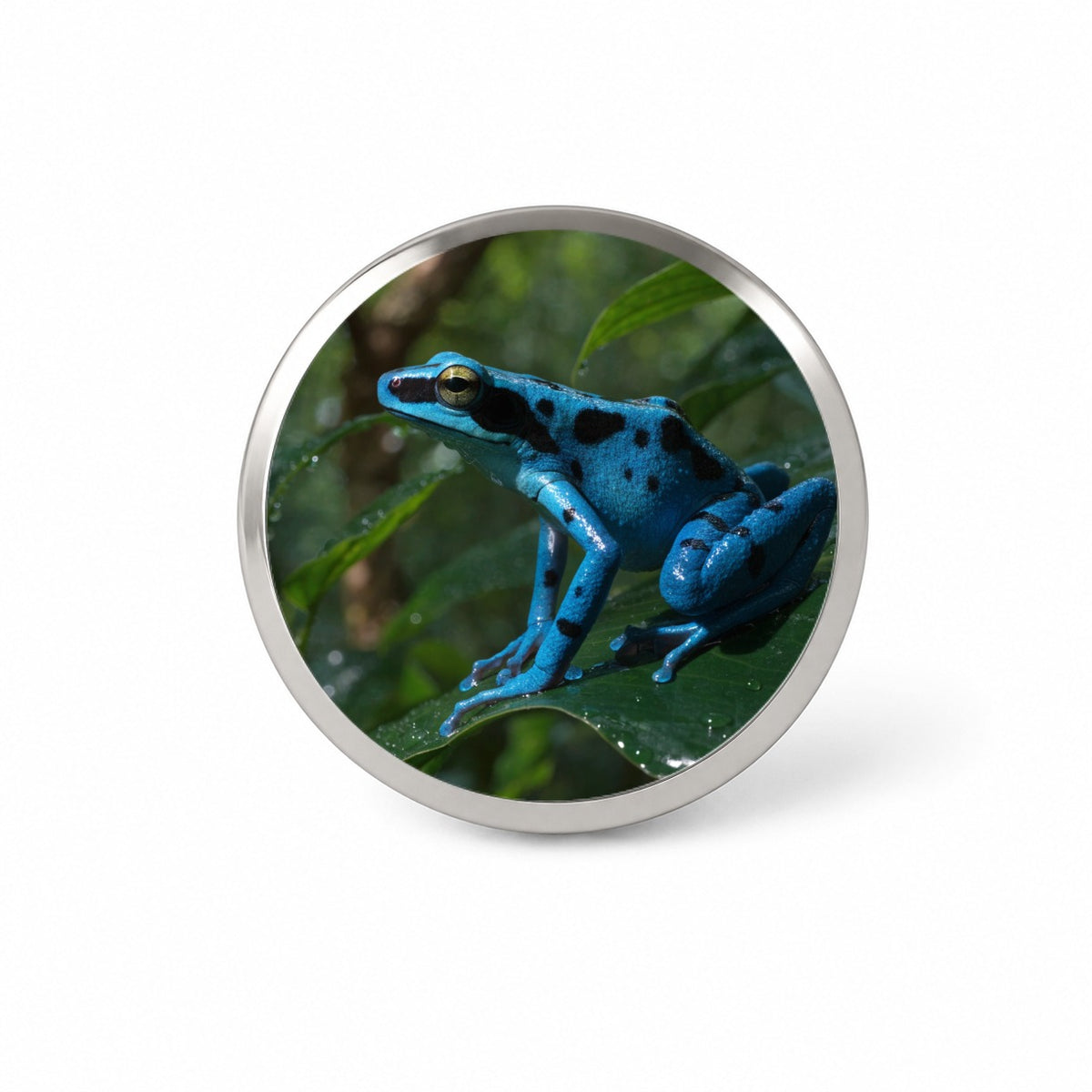 Blue Poison Dart Frog Novelty Hat Backpack Lapel Pin