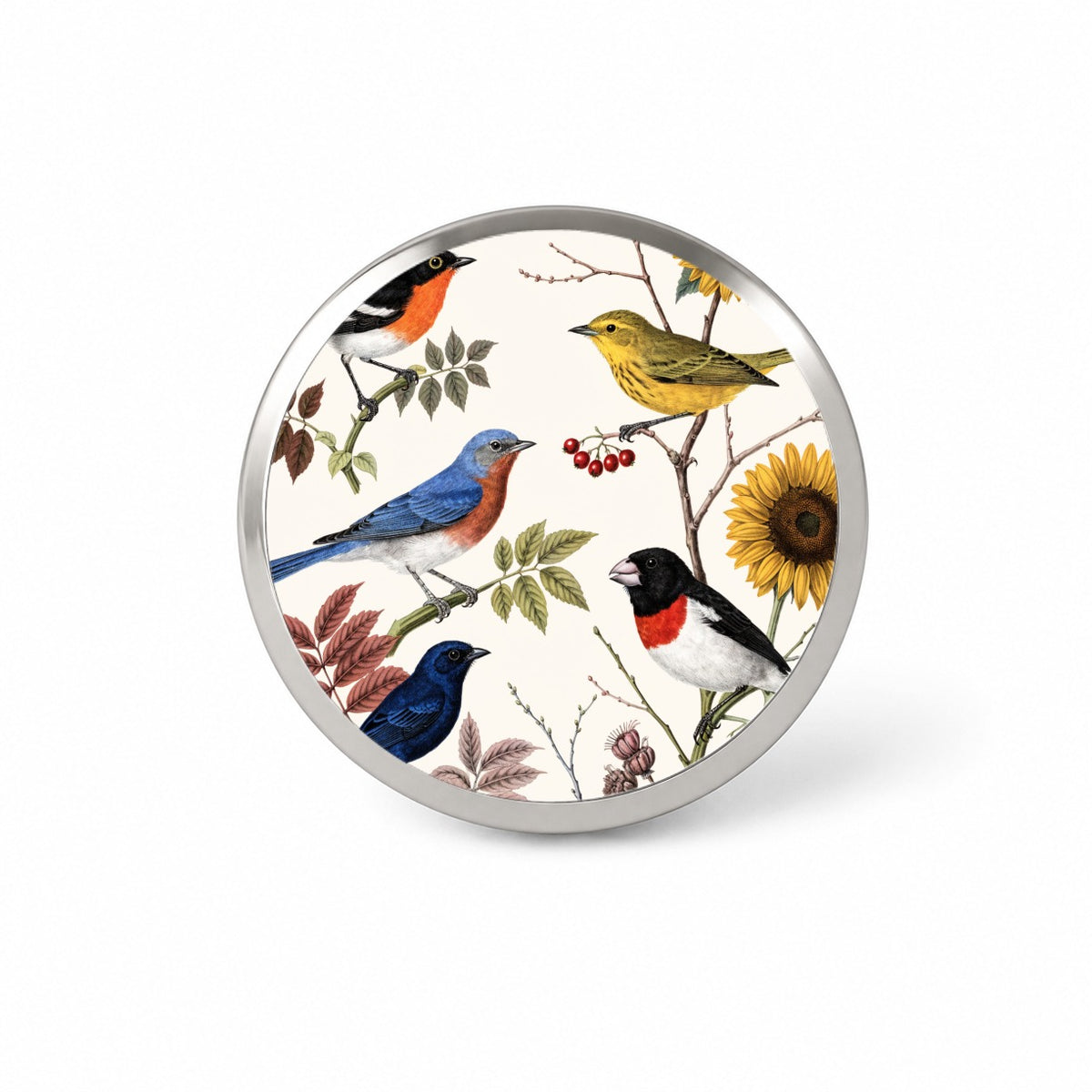 Colorful Backyard Songbirds Novelty Hat Backpack Lapel Pin