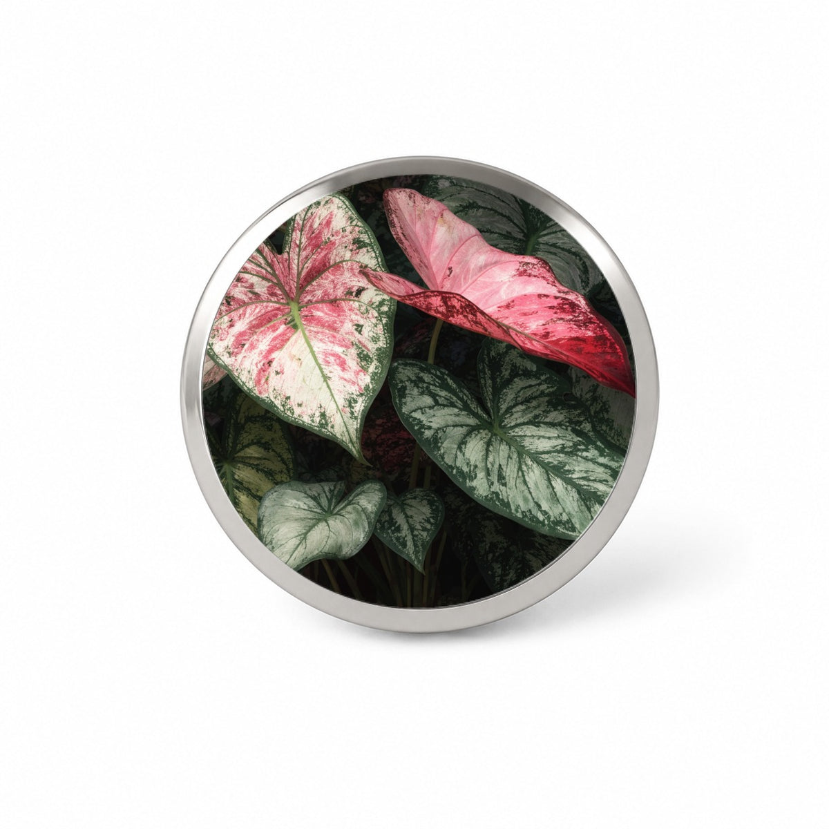 Colorful Caladium Leaves Novelty Hat Backpack Lapel Pin