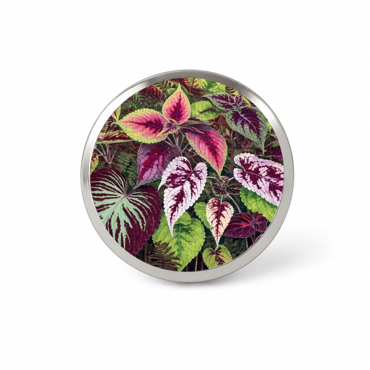 Colorful Coleus Garden Novelty Hat Backpack Lapel Pin