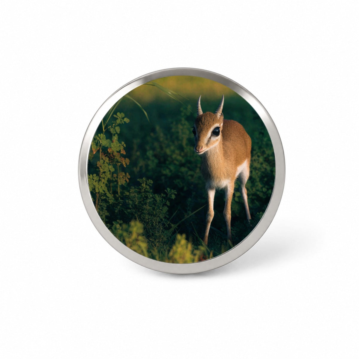 Dik-dik Antelope Novelty Hat Backpack Lapel Pin