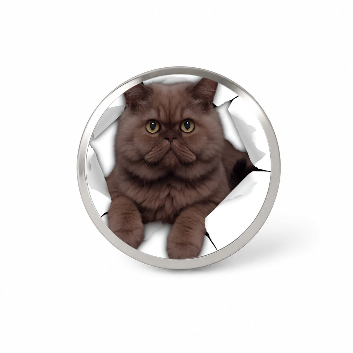 Persian Cat Breakout Novelty Hat Backpack Lapel Pin