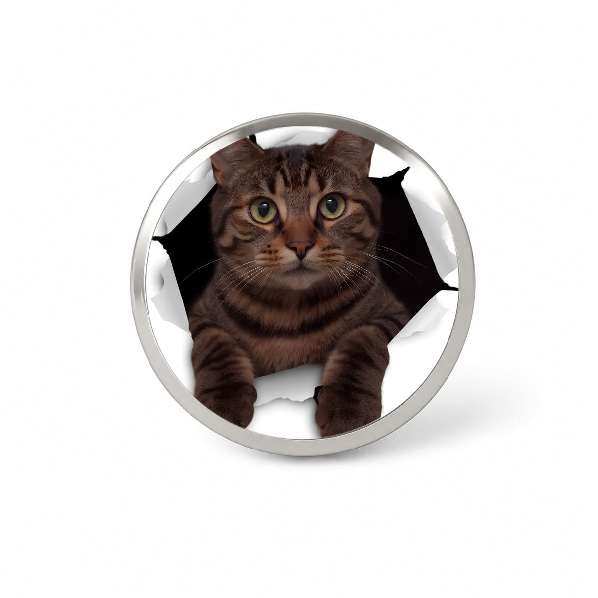 Tabby Cat Breakout Novelty Hat Backpack Lapel Pin
