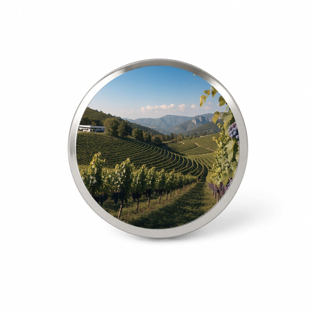 Winery Wine Country Grapes Novelty Hat Backpack Lapel Pin