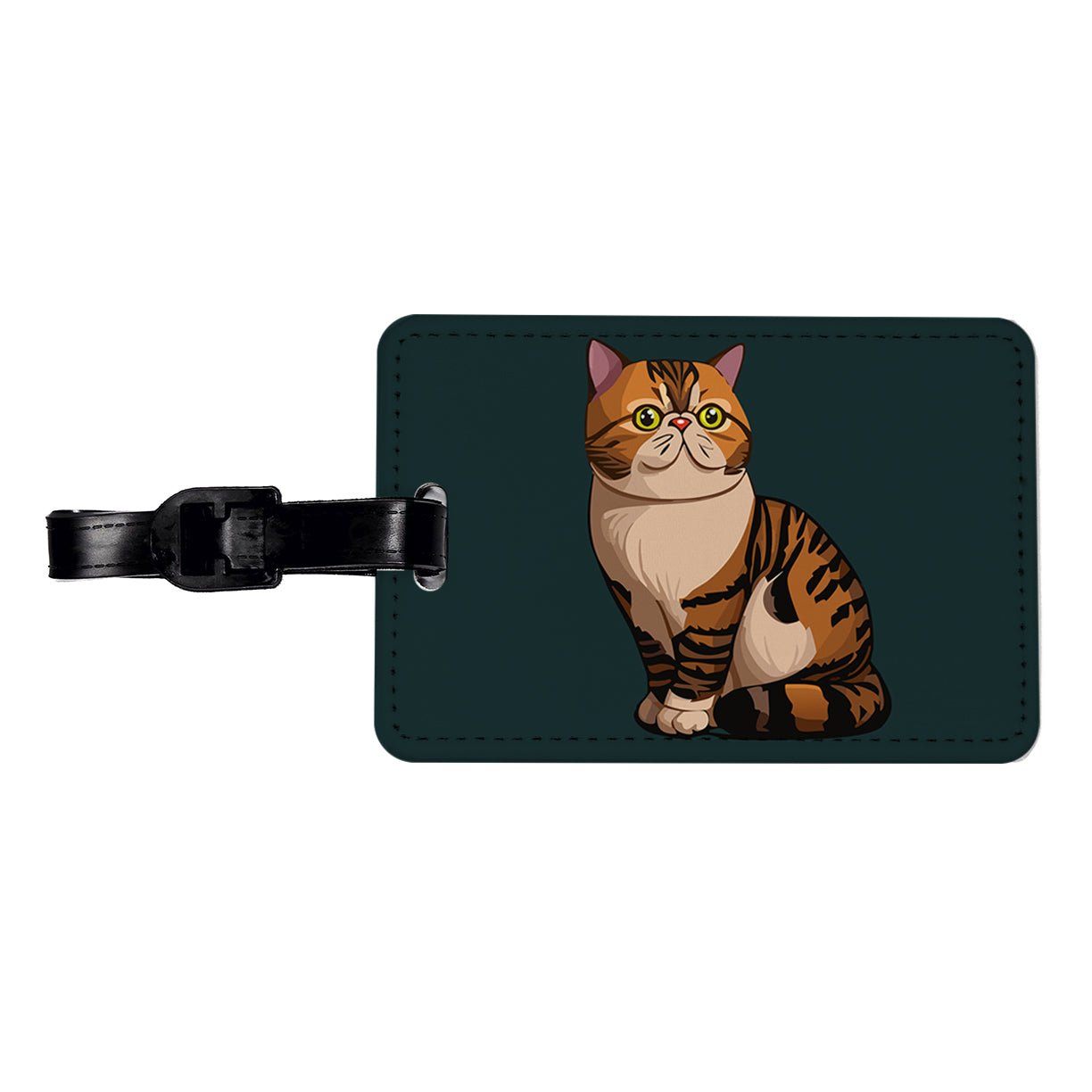 Exotic Shorthair Cat Sitting Travel Faux Leather Luggage Tag