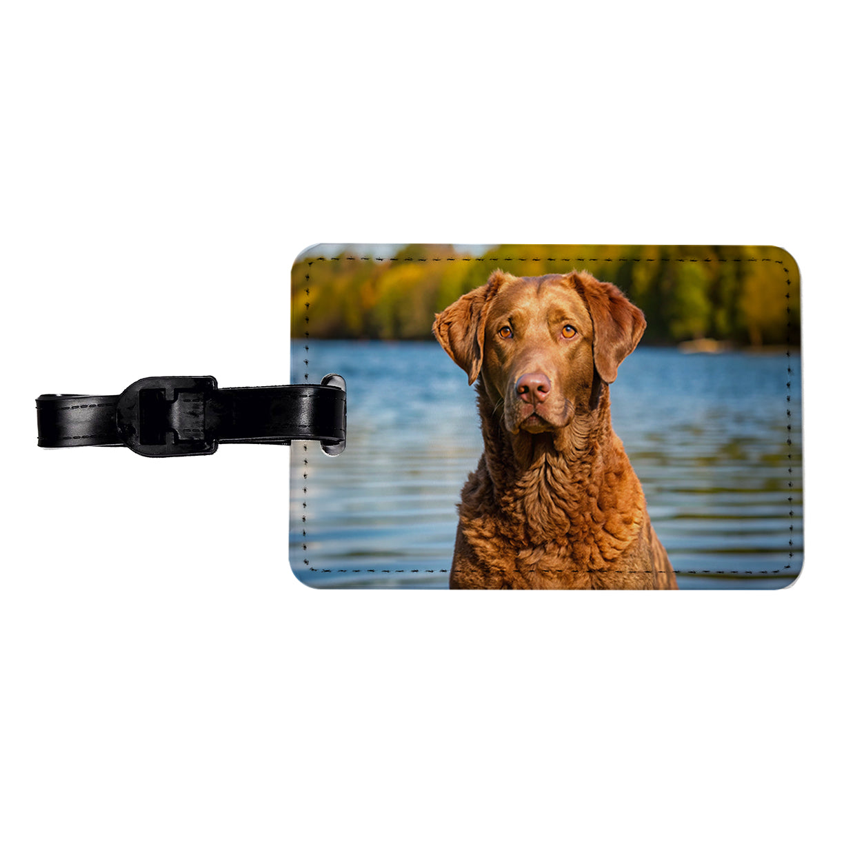Chesapeake Bay Retriever Dog Photo Travel Faux Leather Luggage Tag