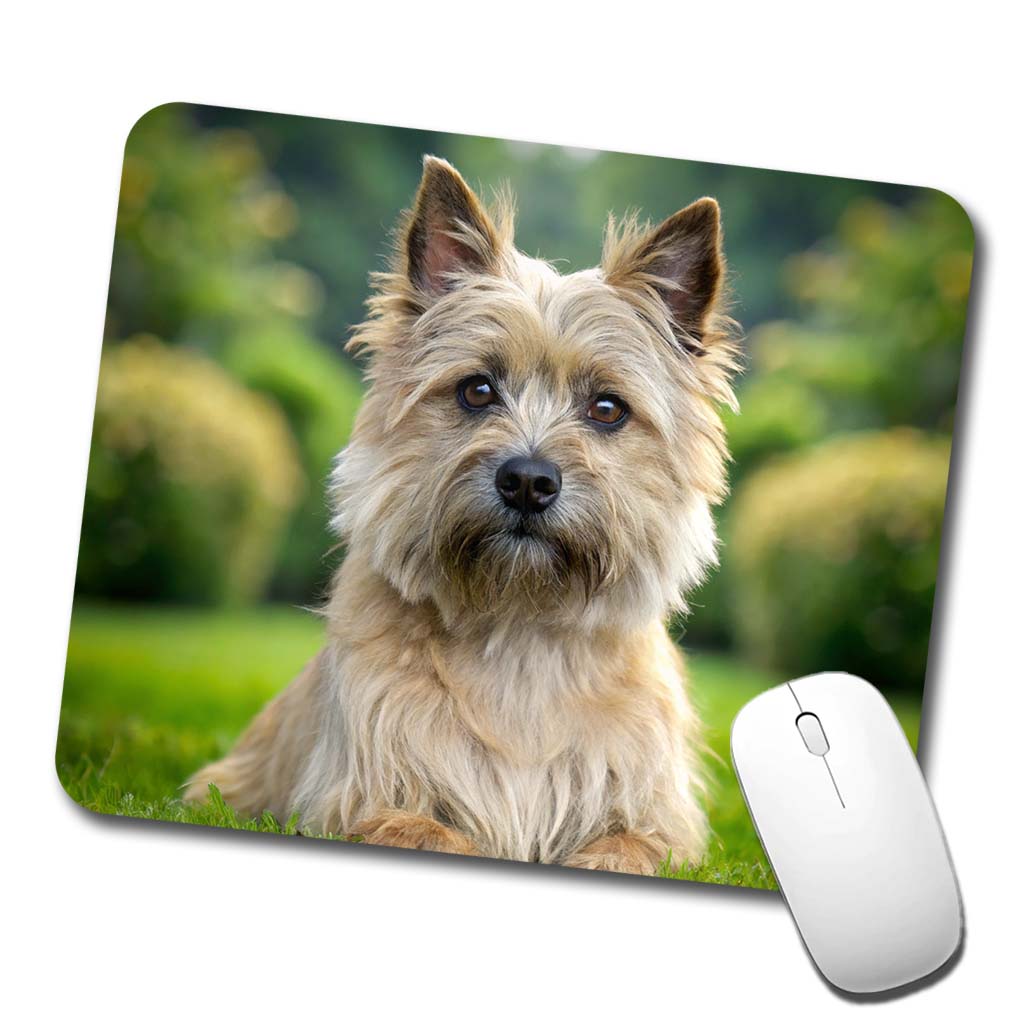 Cairn Terrier Dog Photo Low Profile Mouse Pad Mat