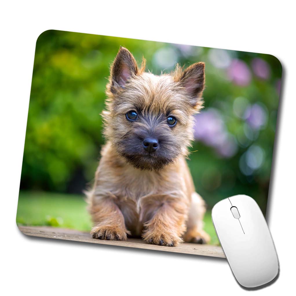 Cairn Terrier Dog Puppy Photo Low Profile Mouse Pad Mat