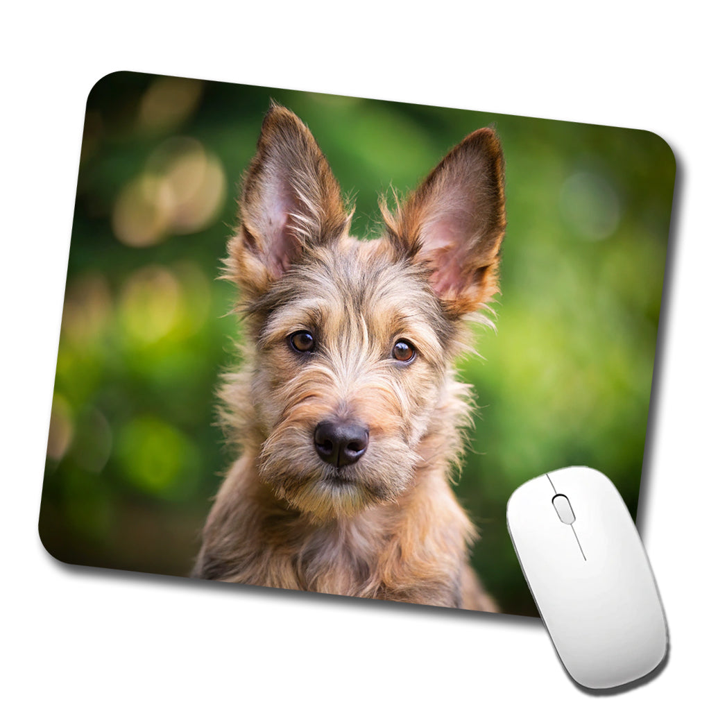Berger Picard Dog Puppy Photo Low Profile Mouse Pad Mat