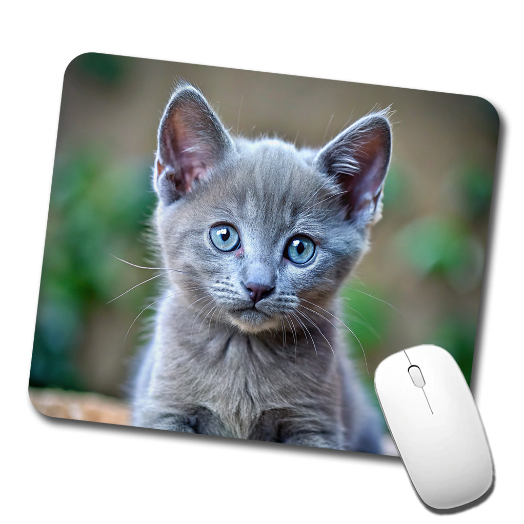 Russian Blue Cat Kitten Photo Low Profile Mouse Pad Mat
