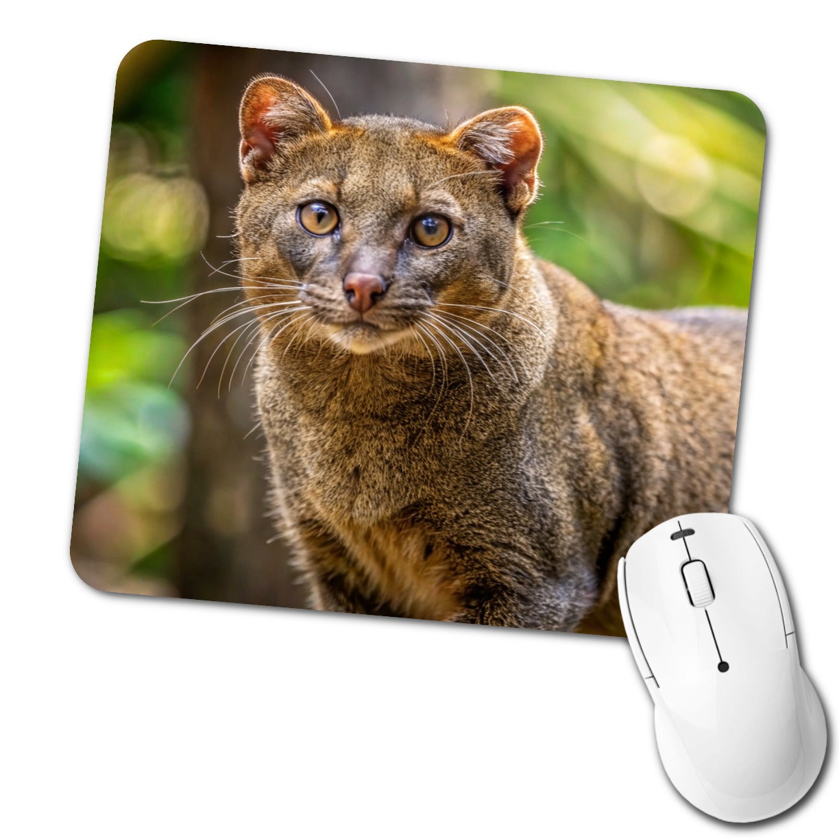 Jaguarundi Otter Cat Photo Low Profile Mouse Pad Mat